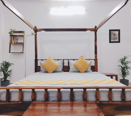 Dhara River View Homestay